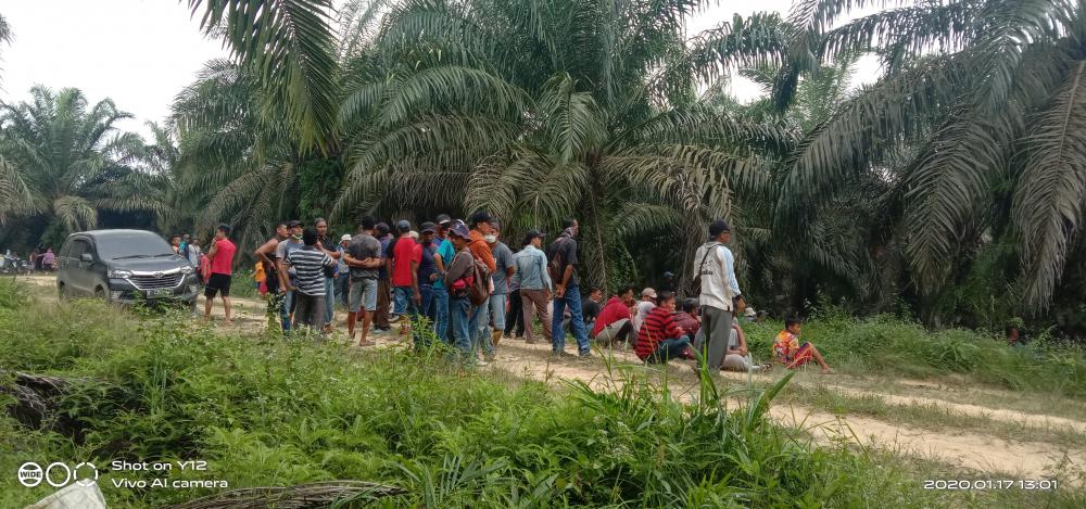 PT NWR langsung lakukan pemulihan lahan setelah diserah terimakan oleh Dinas LHK Provinsi Riau