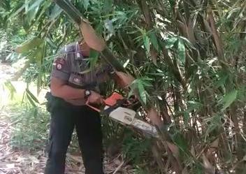 Saat Apel Antisipasi Bencana, Personil Polres Banjar Memotong Pohon Bambu Yang Menghalangi Jalan
