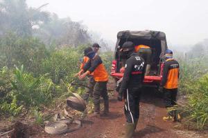 Riau 5 Hari Terakhir Karhutlah Meluas, Dumai dan Bengkalis Berstatus Siaga Darurat Bencana