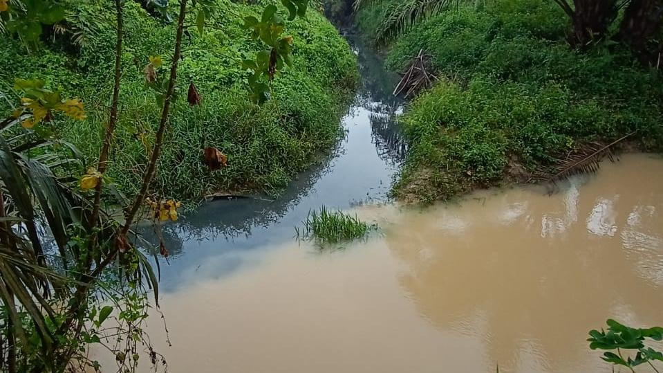 Diduga Sungai Tercemar Limbah PKS PT K, Warga Langsung Merekam