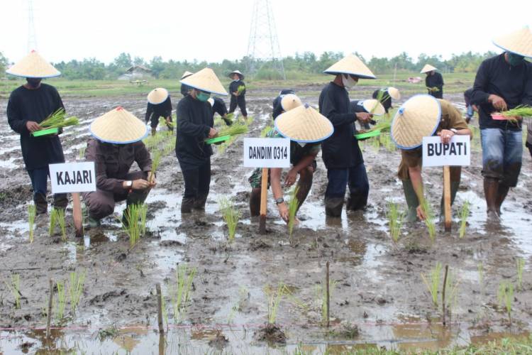 Dandim 0314/lnhil Bersama Bupati lnhil Launching Program 1000 Hektar Lahan Ketahanan Pangan se-Riau