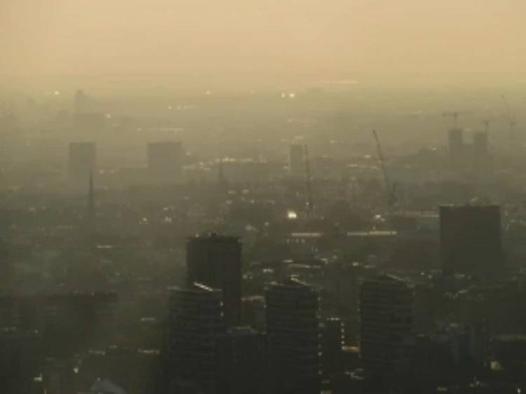 Studi Terbaru Ungkap Data Kematian Manusia Akibat Polusi Udara dalam Kurun 14 Tahun