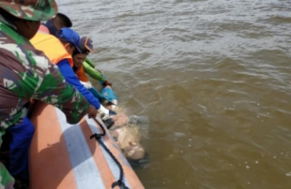 Nelayan Desa Sungai Laut, Kecamatan Tanah Merah Ditemukan Tewas Tersangkut Jaring Ikan 