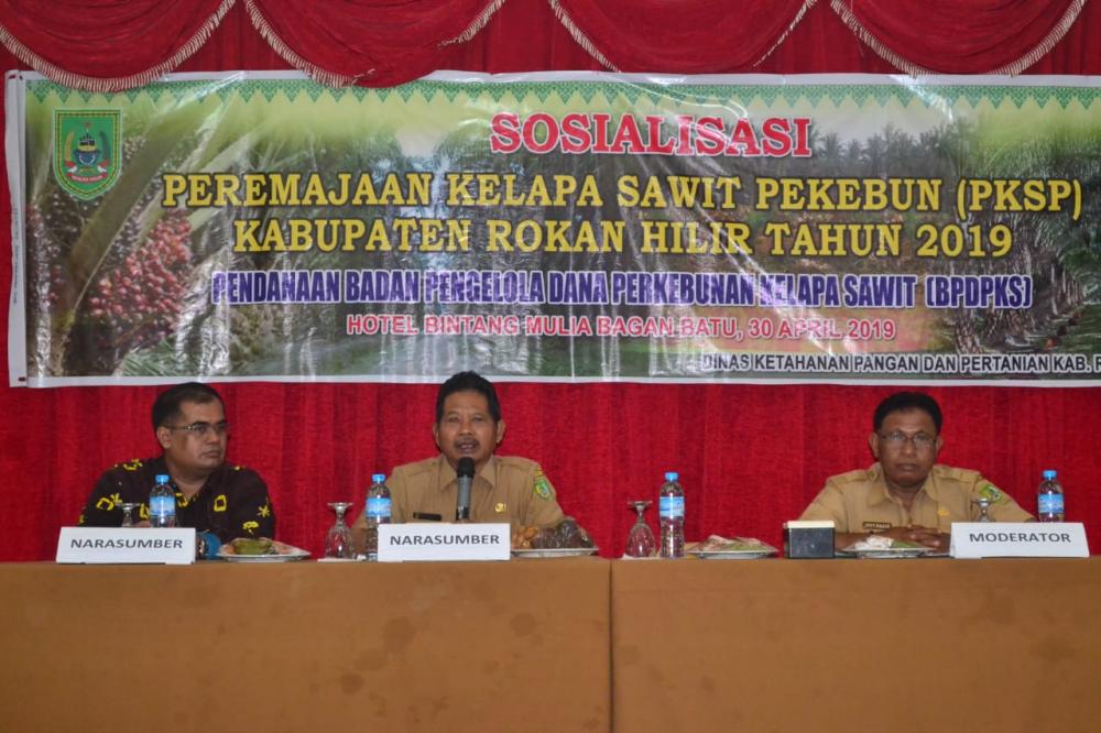 PSR Rubah Nama, DKPP Rohil Sosialisasi PKSP