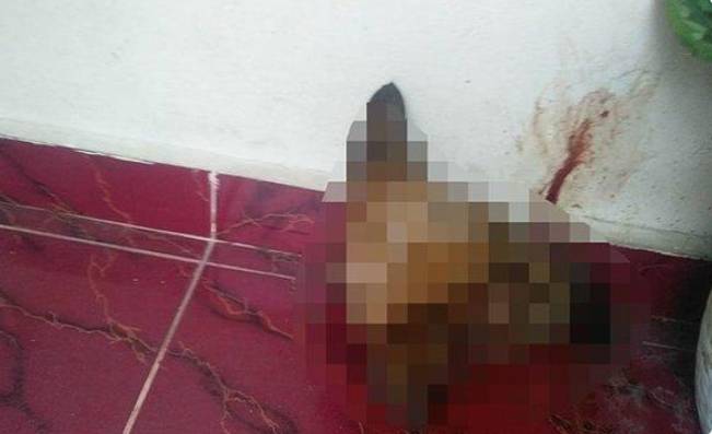 Pelaku Teror Pelemparan Potongan Kepala Anjing Ke Rumah Kasi Penkum Kajati Riau Muspidauan Rupanya Pecatan Polisi