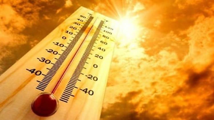India Dilanda Cuaca Ekstrim, Suhu Maksimum Mencapai 49,2 derajat Celcius