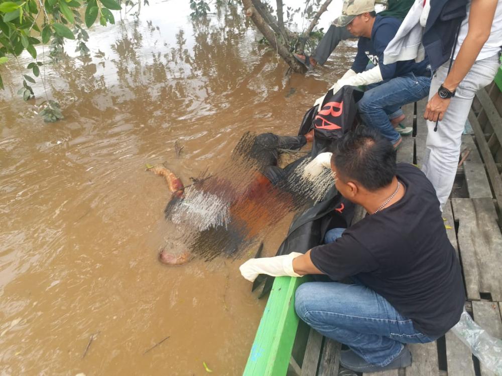 Seorang Warga Tembilahan Ditemukan Tewas Membusuk di Sungai Batang Tuaka, Pekan Arba 