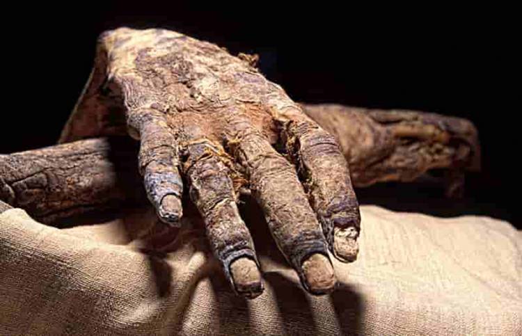 Ternyata Begini Cara Orang Mesir Kuno Membuat Mumi Tubuh
