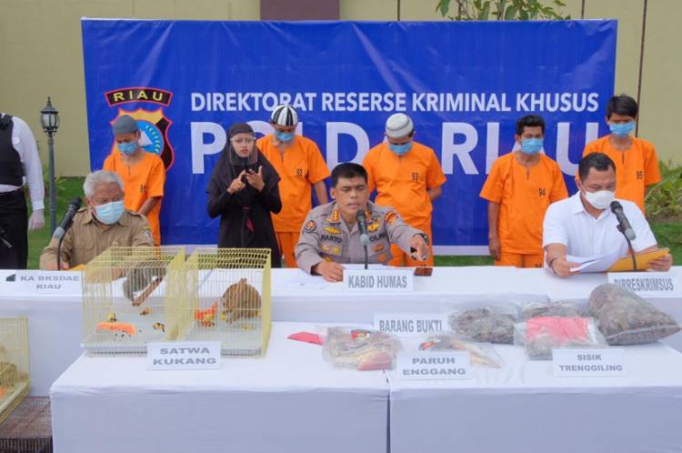 Polda Riau Bongkar Kejahatan Perdagangan Ilegal Hewan Dilindungi