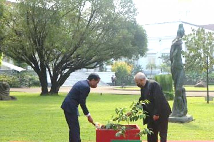 Presiden Jokowi dan Presiden Jose Ramos-Horta Tanam Pohon Gaharu bersama di Istana Bogor