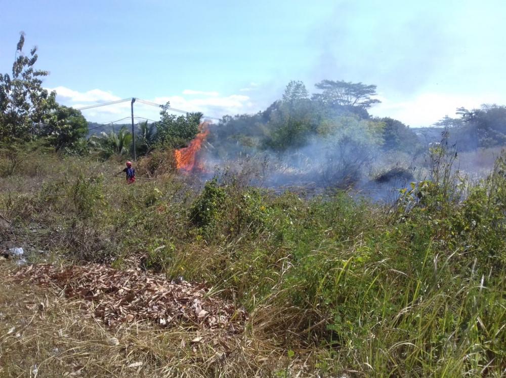 Kemarau Sebabkan 3 Hektar  Lahan Terbakar