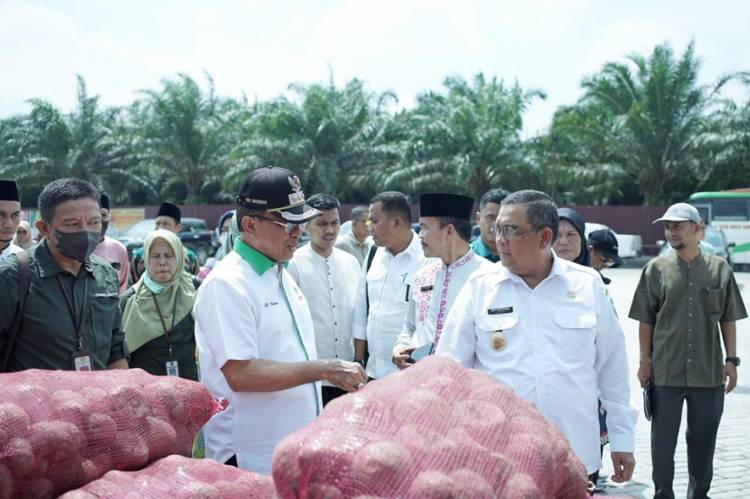 Ketua DPD HKTI Riau HM. Wardan Dampingi Wagubri Tinjau PT. Mitra Porang Nusantara Siak