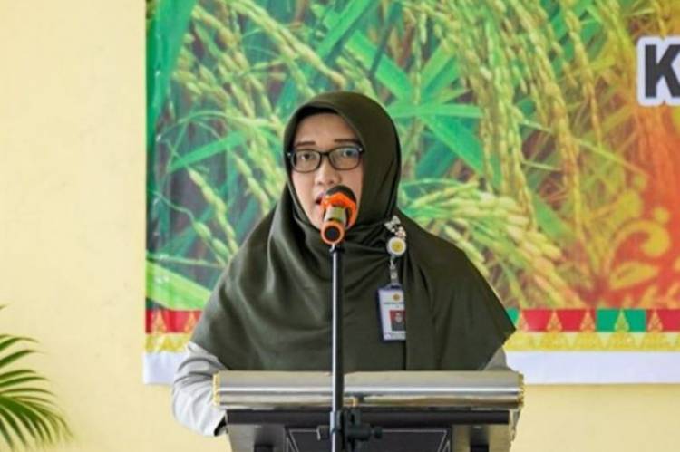 Tingkatkan Produktivitas Non Migas, Dinas PTPH Riau Kembangkan Padi Gogo Spesifik