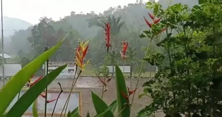 Hujan Guyur Kalimantan Tengah, Satgas Karhutla: Terima Kasih Ya Allah