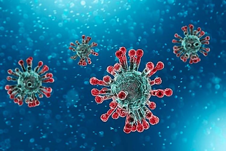 Penting Diketahui: Mengenal Semua Jenis Varian Baru Virus Corona