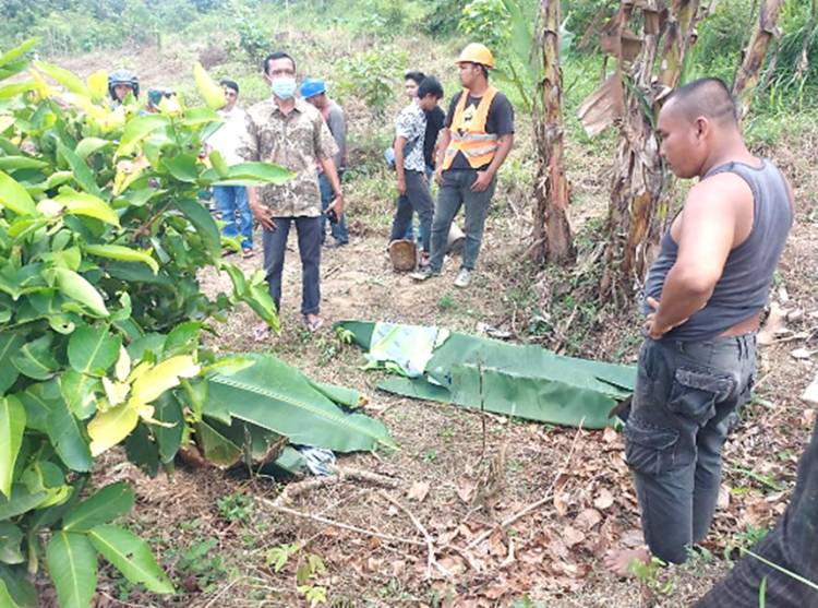 2 Pekerja CV. HRKU Tewas Tersengat Arus Listrik saat Bekerja di Wilayah Desa Kebun Durian Kampar