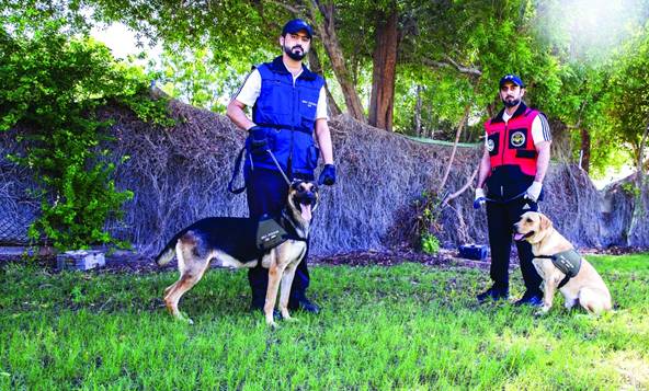 Uni Emirat Arab (UEA) Gunakan Anjing Pelacak Khusus untuk Mencegah Penyebaran Covid-19