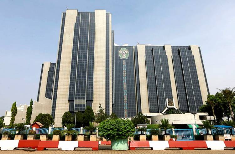 Sempat Dilarang, Kini Bank Sentral Nigeria Sahkan Mata Uang Digital