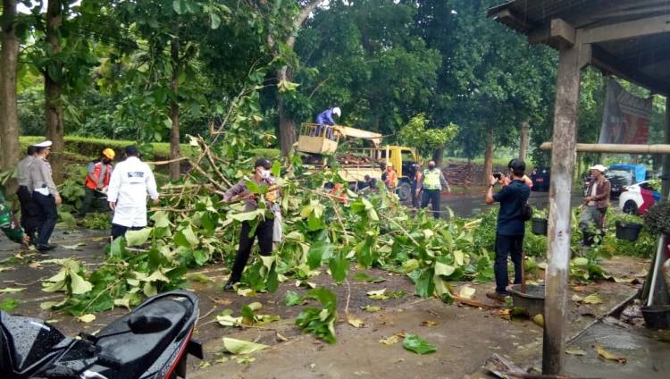 Personel Patroli Unit Sabhara Polsek Banjar dan Polsek Purwaharja Membantu Evakuasi Rumah Warga yang Tertimpa Pohon Tumbang