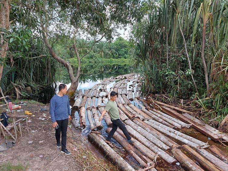 Komplotan Mafia Illegal Logging Mat Ali alias Anak Jenderal Digulung Polda Riau