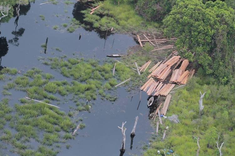 Kapolda Riau Bertekad Lawan Kejahatan Lingkungan dan Komitmen dalam Penyelamatan Hutan