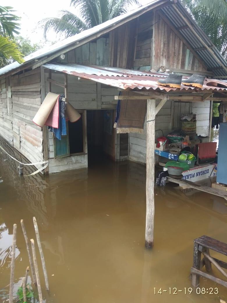 Desa Sei Jalau Kab Kampar Butuh Bantuan Akibat Meluapnya Sungai Kampar