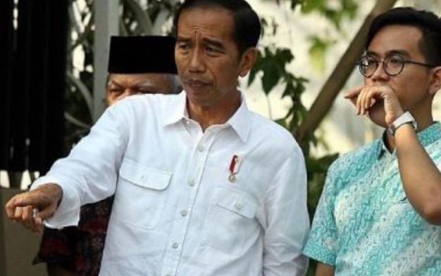 Dinasti Politik Tidak Dilarang,Tapi dua Cara Ini Bisa Gagalkan Dinasti Jokowi di Daerah