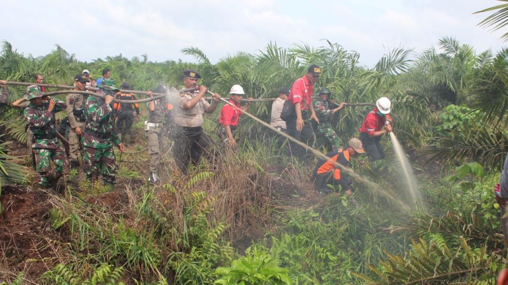 Oknum Warga  Sengaja Melakukan Pembakaran Lahan di Parit Minang 