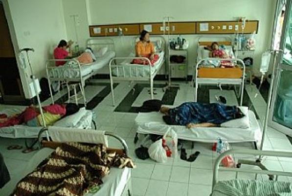 Jumlah Penderita DBD di Pekanbaru Terus Meningkat, Sudah 260 Orang Tumbang