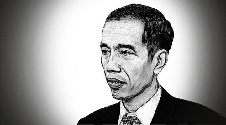 Tiba di Palangkaraya, Jokowi Langsung Tinjau Sekolah Aman Asap