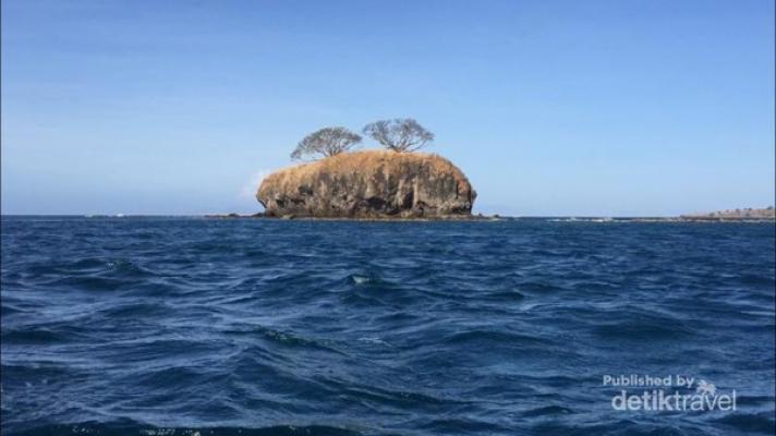 Kisah Misteri Pulau di Bima yang Dihuni Ratusan Ular Berbisa