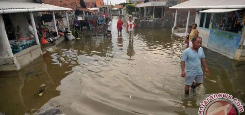  Dilanda Hujan Deras, Ratusan Rumah Di Inhu Terendam Banjir
